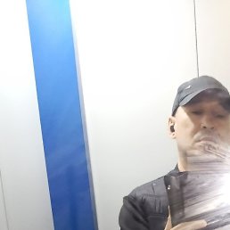 ����, ���, 43 ����