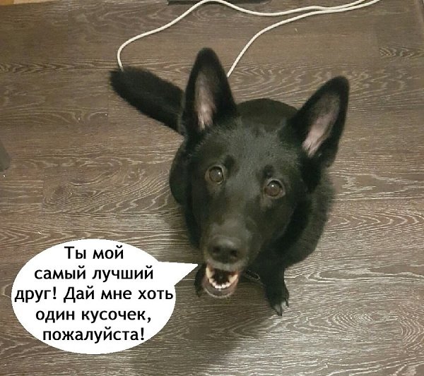   - 4