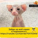 ���� �����, ������ ����� - ��������� 23 ������� 2025 � ������ ������ ��������