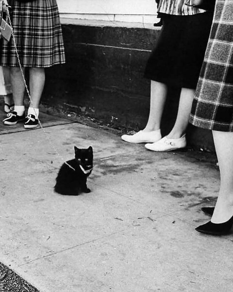  1961           .  150  ... - 2