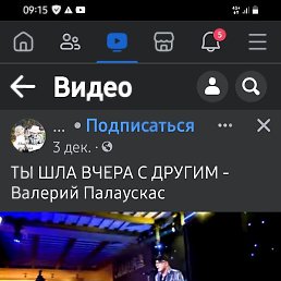 Bogdam, �������, 46 ���