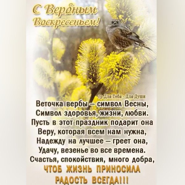  - 13  2025  15:15