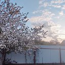 ���� �����, ������, 66 ��� - ��������� 23 ������ 2024 � ������ ��������