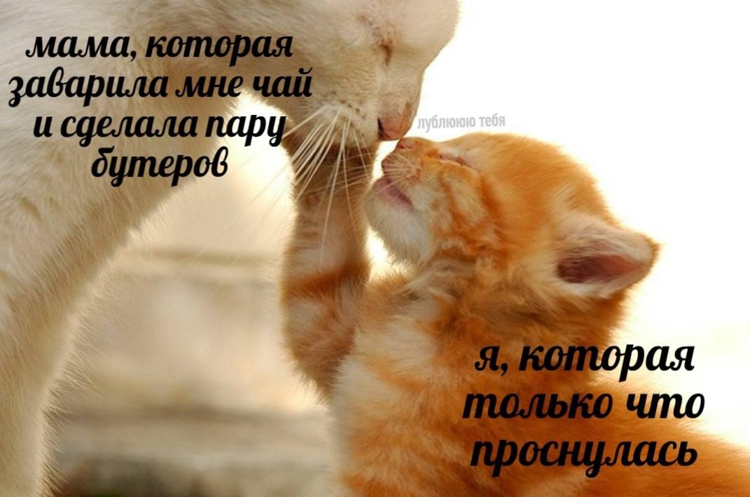    - 10  2024  20:13