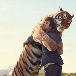 �����, ��������, 41 ���