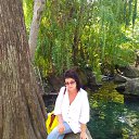 ���� �������, ���������, 66 ��� - ��������� 23 ������� 2024 � ������ ���� ����������