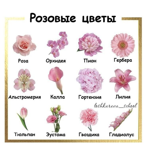 Сад можно сделать одноцветным на фоне зелени.Туй, хвойников, кустов и трав. Если брать разные ... - 2