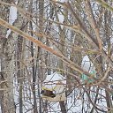 ���� �������, ������ - ��������� 13 ������� 2026 � ������ ������ ��������