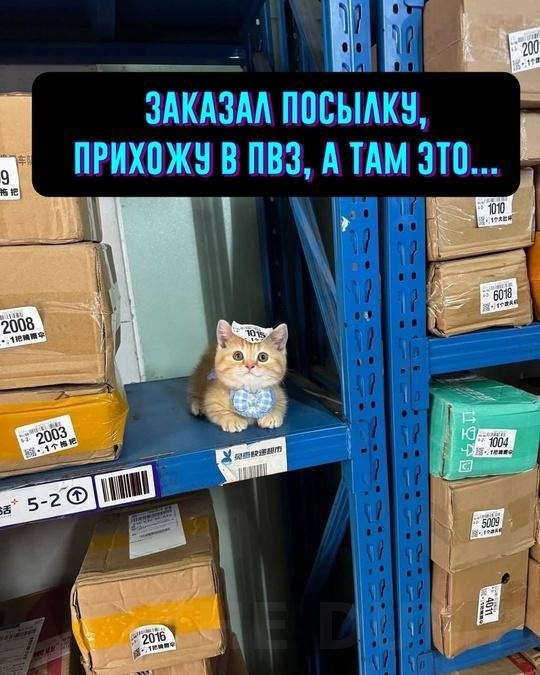 py, y oo-o ec oo o? Xo, ec eco,  e xoec aoac. Ka  caee, ...
