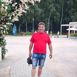 , 54, 