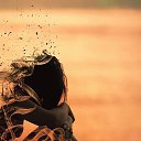 ���� ����, �����, 42 ���� - ��������� 27 ������ 2026 � ������ ���� ����������