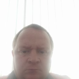 , 41, 