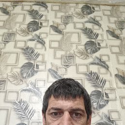 �������, 40 ���, �����