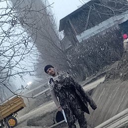 , 31, -