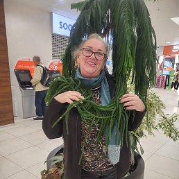 Nina, ������, 68 ���