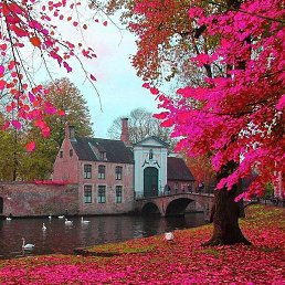 ���, ������-��-����, 24 ����