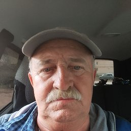 , 61, 