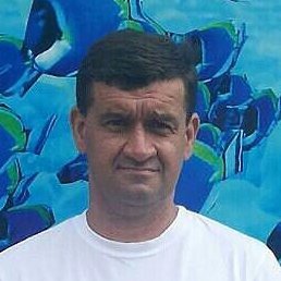 �������, ������, 54 ����