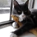 ���� ������, ����� - ��������� 1 ������ 2026