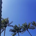 ���� ����, �������, 49 ��� - ��������� 27 ������ 2025