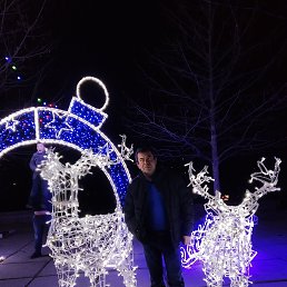 , 57, 