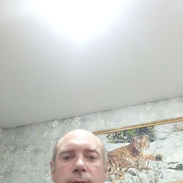 ��������, 40 ���, ���