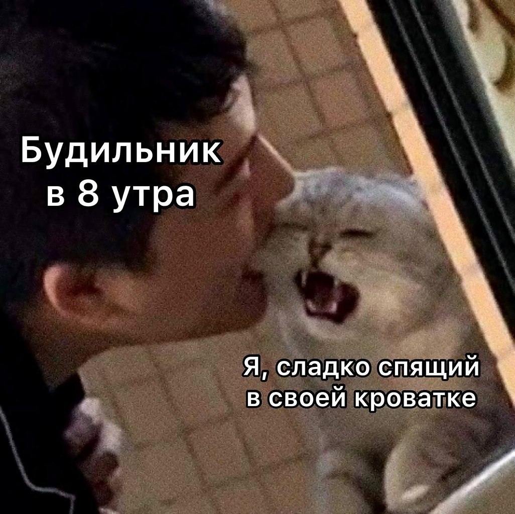    - 15  2024  18:39