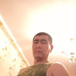 , 42, 