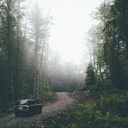 ������, ������, 86 ���