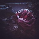  , --, 57  -  15  2025    