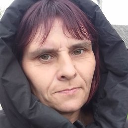 �������, �������, 43 ����