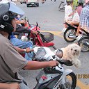 ���� ���� �, ������ - ��������� 5 ������� 2024 � ������ ���� ����������