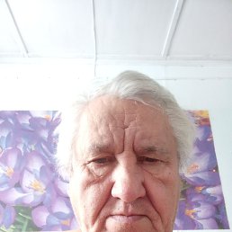 , 59, 