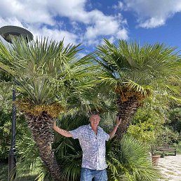 ���� ������, ������, 56 ��� - ��������� 16 ������ 2025