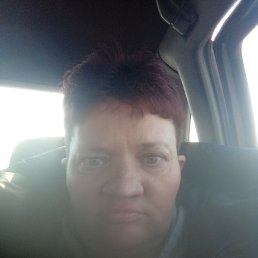 , 40, 