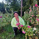  ,  , 50  -  14  2025    