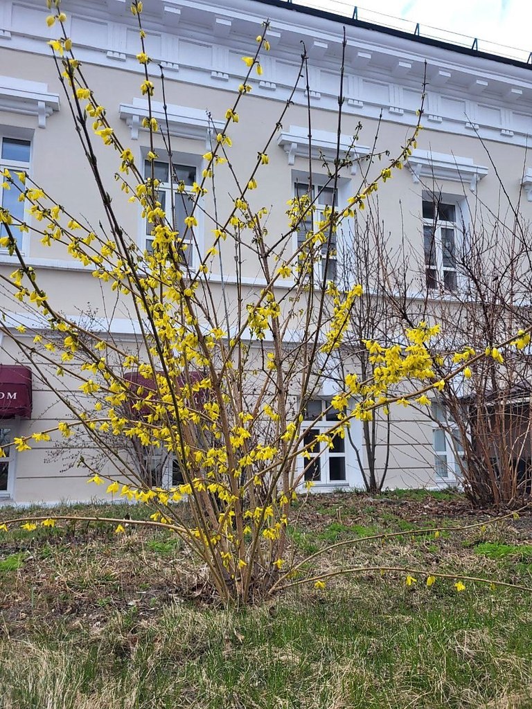     .  : https://fotostrana.ru/away?to=/sl/ei54 ...