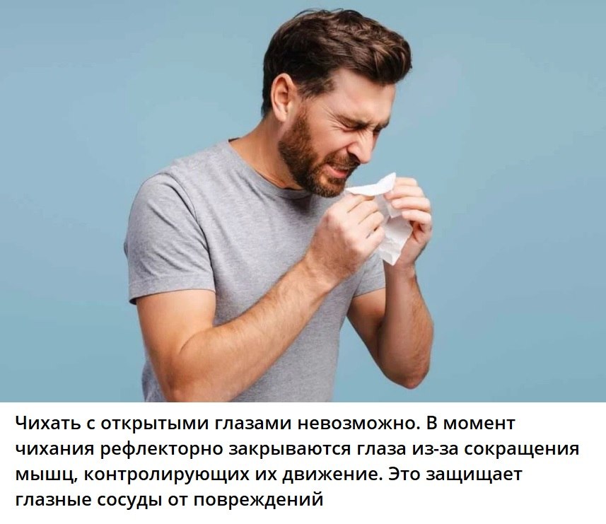 ��� ���� - 10 ����� 2026 � 17:13