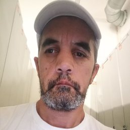 �����, ������, 46 ���