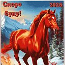 ���� �����, ��������, 65 ��� - ��������� 8 ������ 2025 � ������ ���� ����������