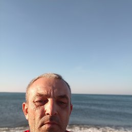 , 44, 