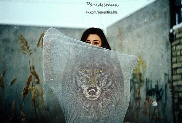 Есть женщины — они прекрасны, В их венах от волчицы кровь бежит. Их взор всегда пленяет ясный, ...