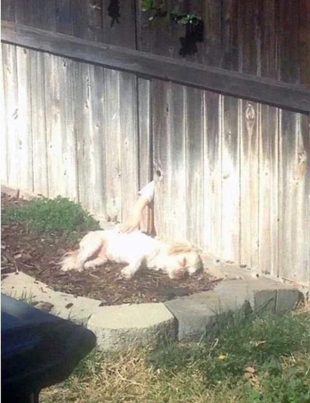     ,      