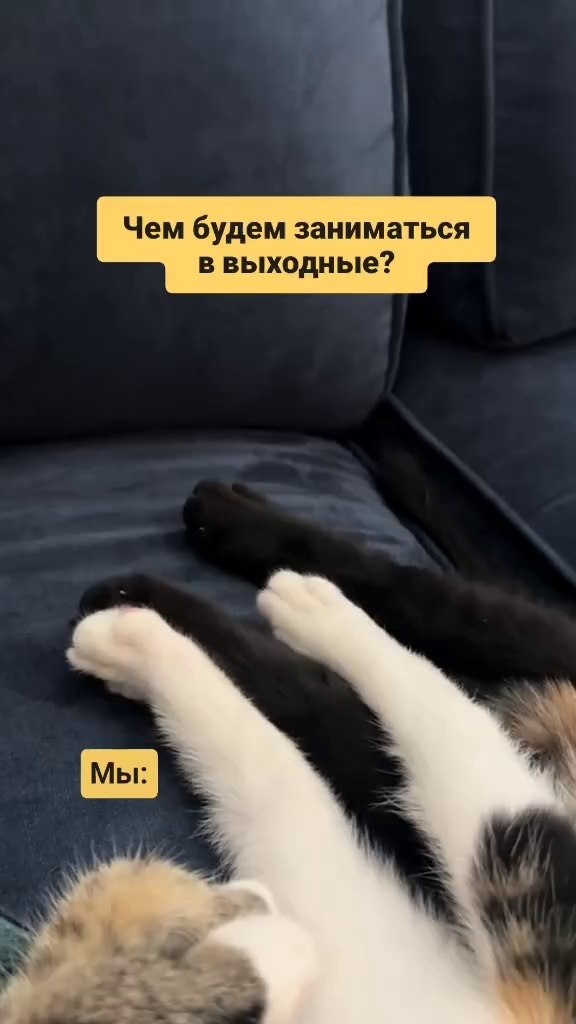 ������� � ��������: - 2