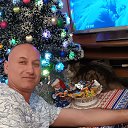 ���� ����, ������, 41 ��� - ��������� 19 ������ 2026 � ������ ���� ����������