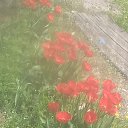 ���� ������, ���������, 57 ��� - ��������� 16 ������ 2025 � ������ ���� ����������