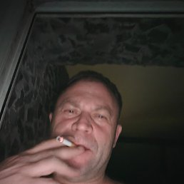 , 46, 
