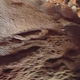  Petru, -, 53  -  8  2025