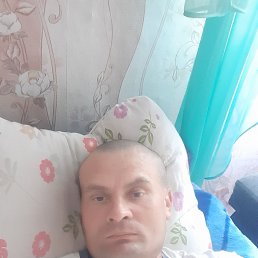 , 43, 