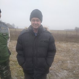 ������� �����, 55 ���, ����������